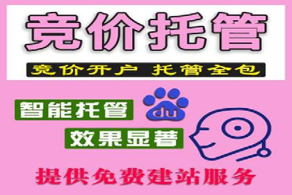 百度推广优化实战技巧与案例分享